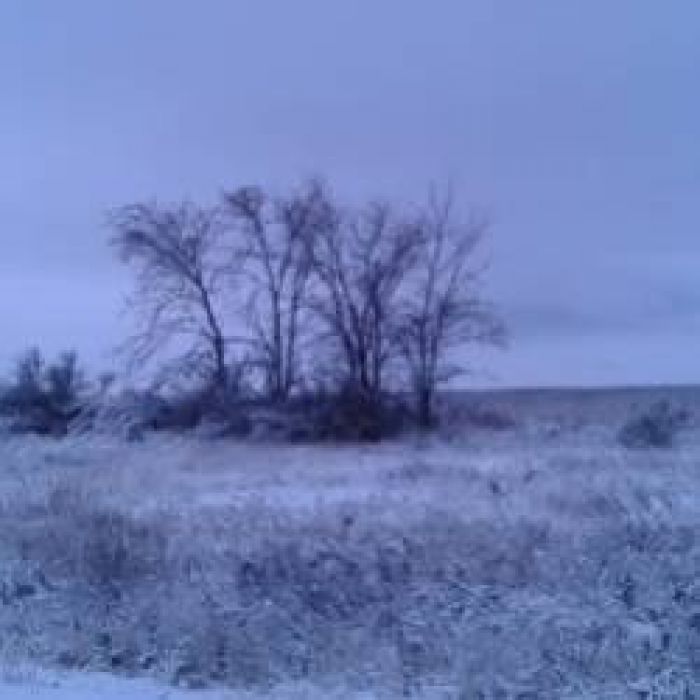 Культура-Снег