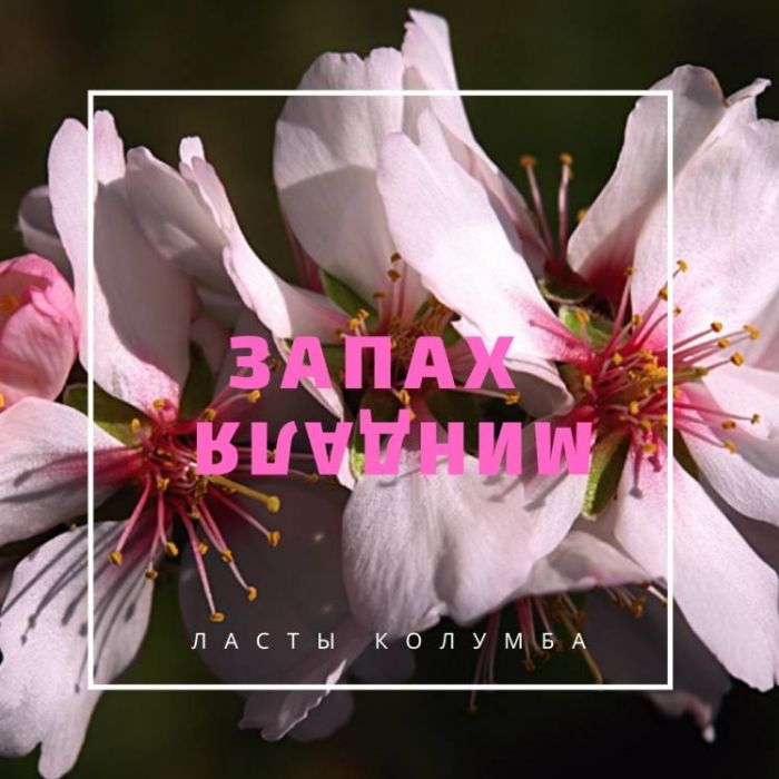 Ласты Колумба-Запах миндаля