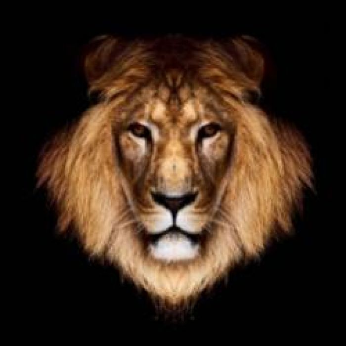 Leona-Письмо к принцу