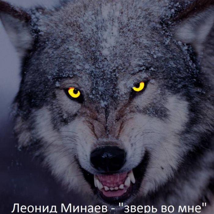Леонид Минаев-Зверь во мне