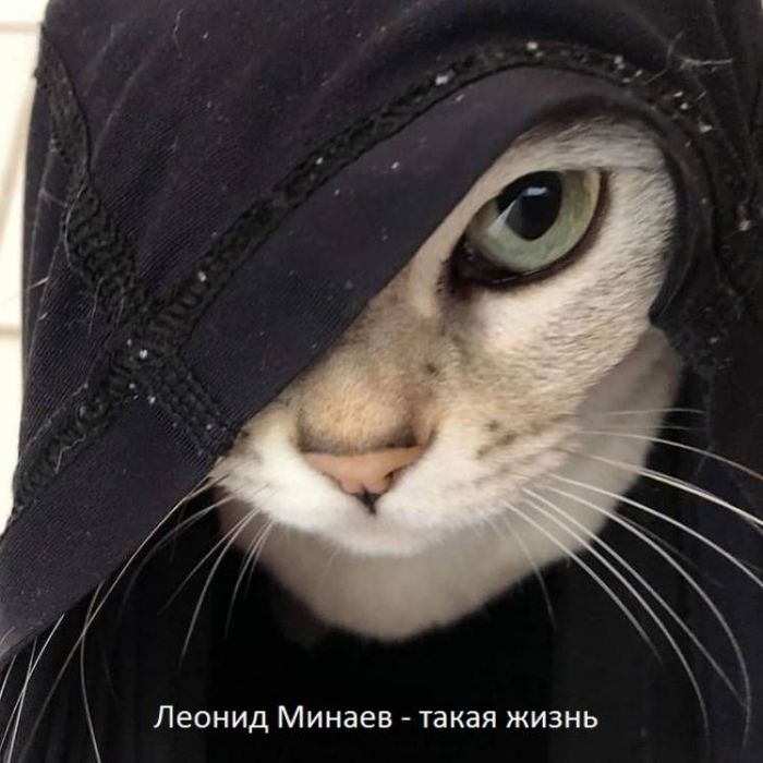 Леонид Минаев-такая жизнь