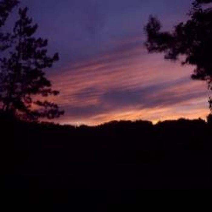 Лёпыч-НИКОГО