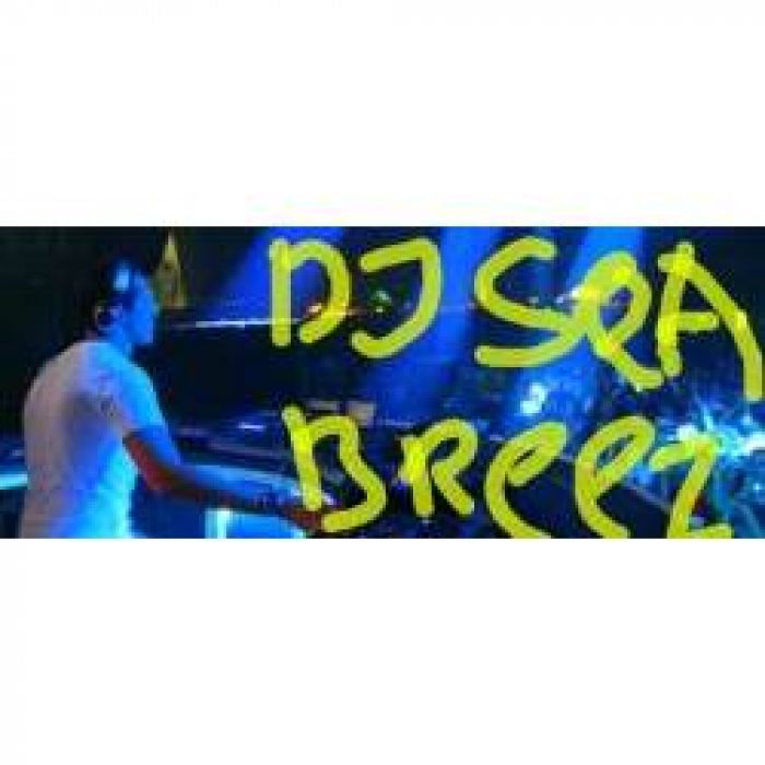 Lilly Wood  The Prick - Player In C(dj Sea Breeze Remix 2015)