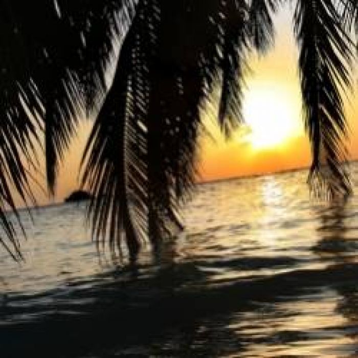 Lunar Kiss-Полет мечты