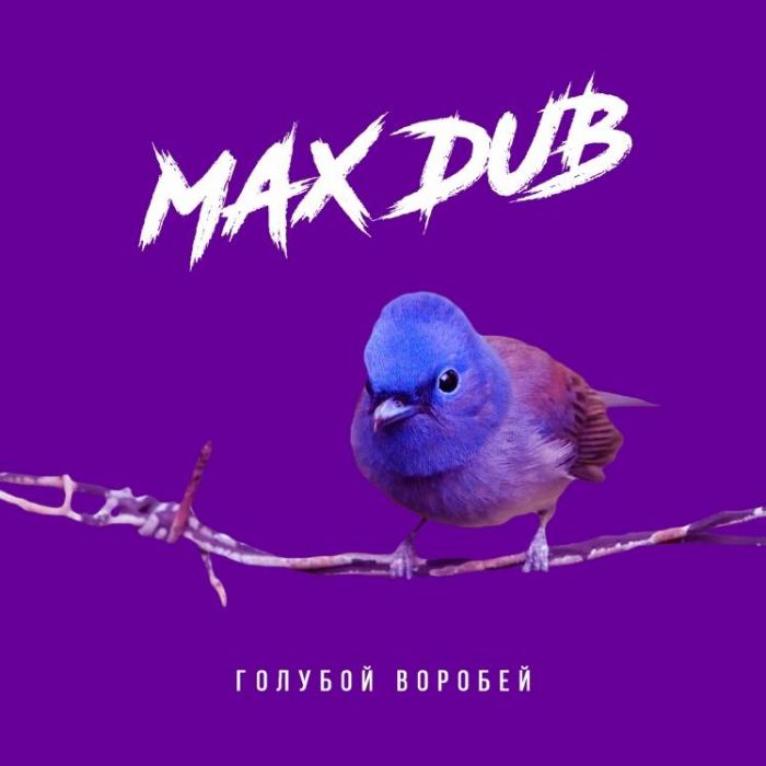 MAX dub-Голубой воробей