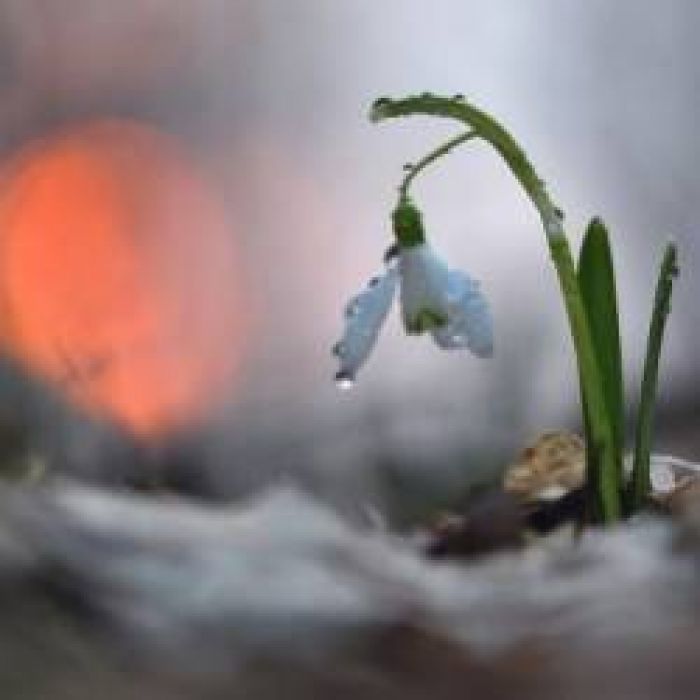 Малёшин Сергей-Снова лучи согреют меня