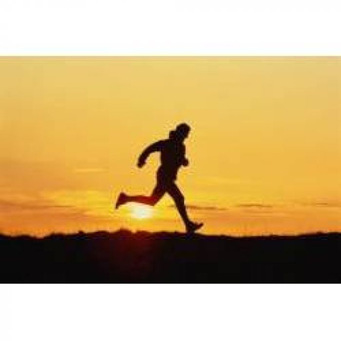 Mixerland - Последний из могикан