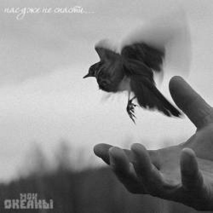 Мои океаны-Раненые птицы