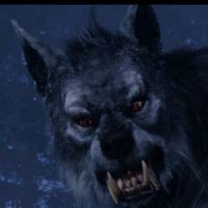 Не Фор Мат-ВЕРВОЛЬФ