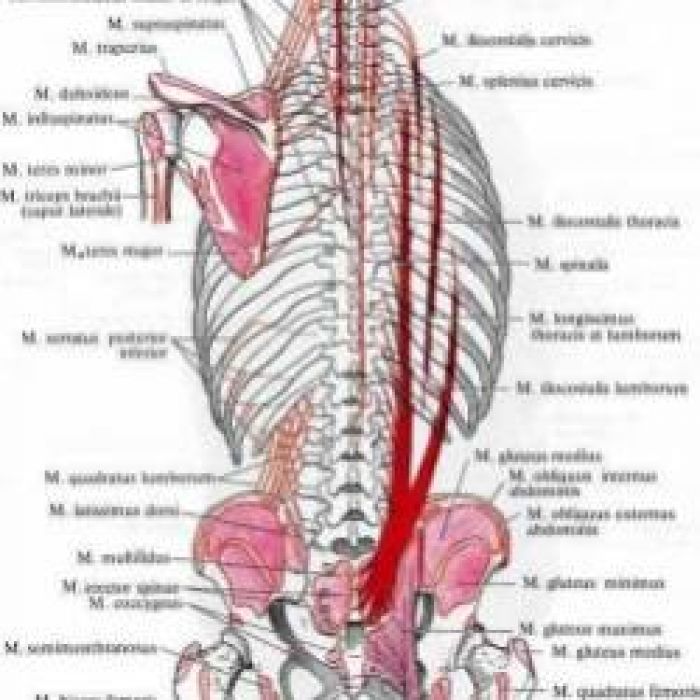 Некий Серый-Лёд