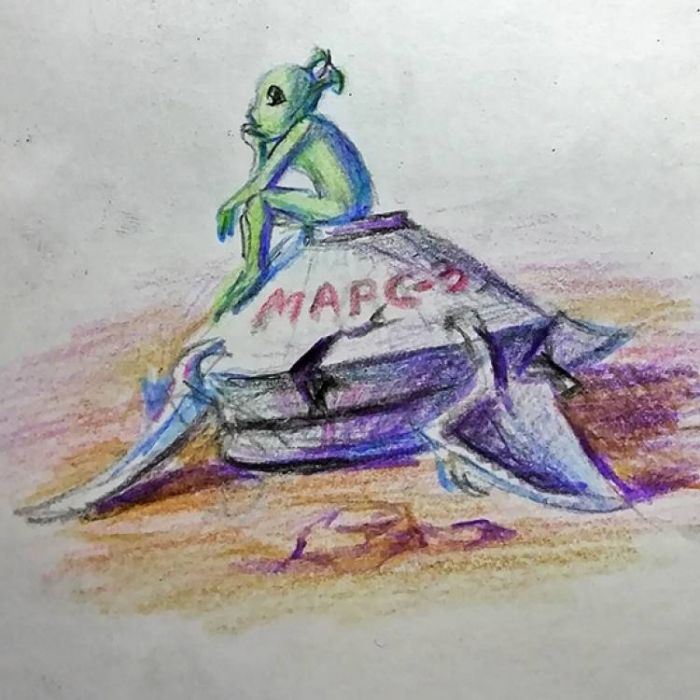 Non-Human Animal-Movie Stars