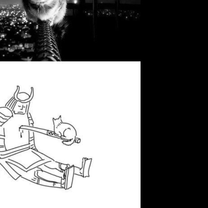 Old_Kat(OK) - Нескончаемо