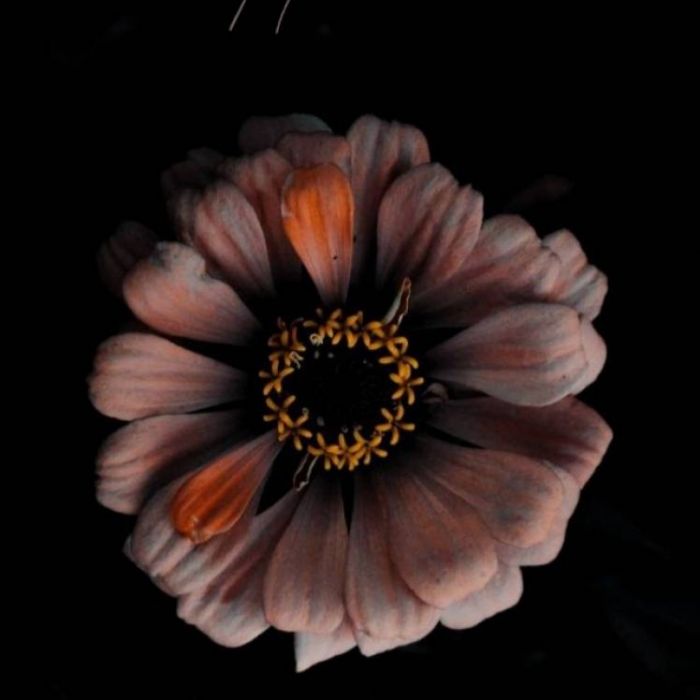 Ольга Парфёнова-Карие глаза