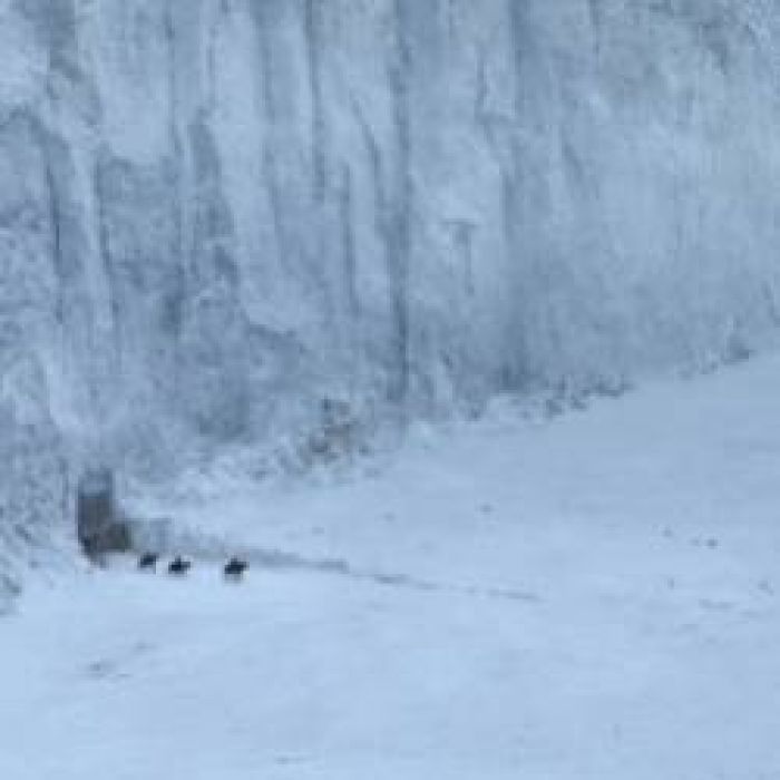 ПОСТСКРИПТУМ-Там где упала Зима