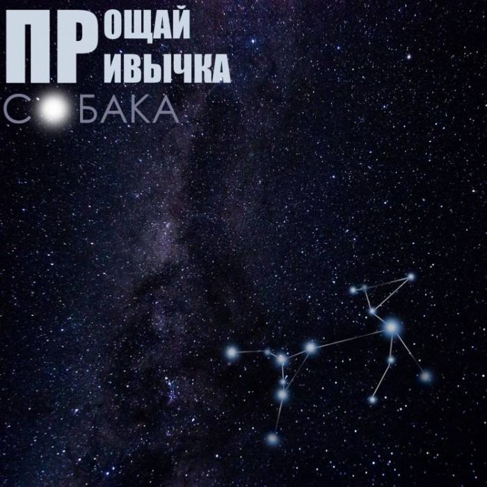 ПРОЩАЙ ПРИВЫЧКА-Собака