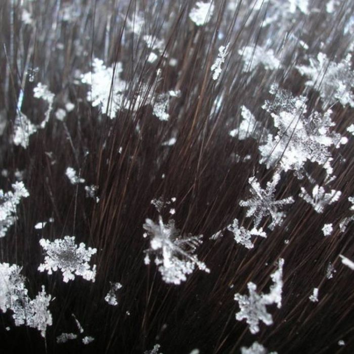 ПолуTONE-Снежинки