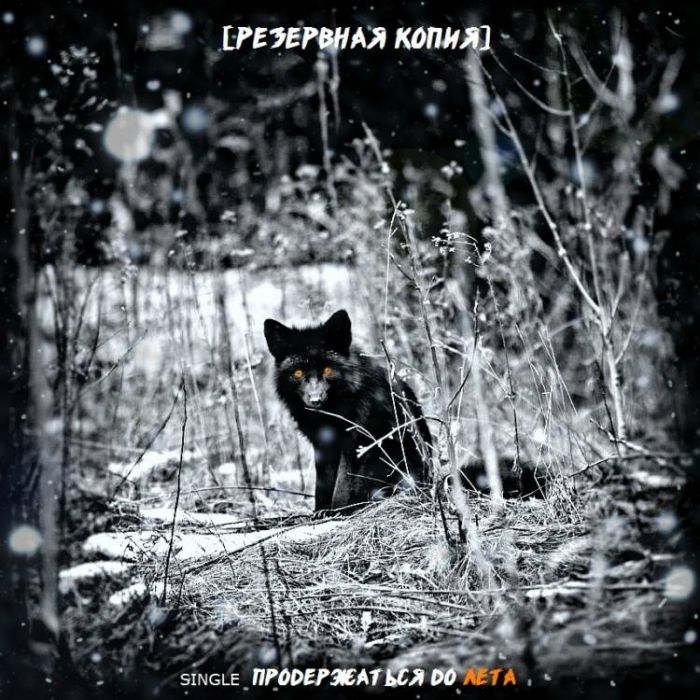 РЕЗЕРВНАЯ КОПИЯ-Продержаться до лета