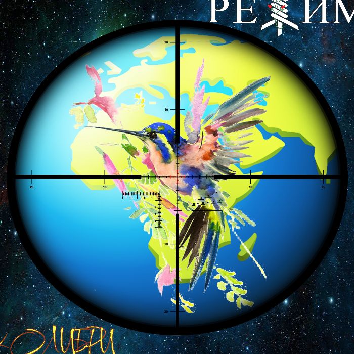 РЕЖИМ - Колибри