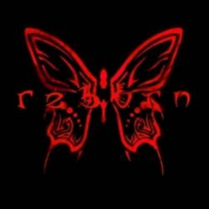 Reborn-Through the night