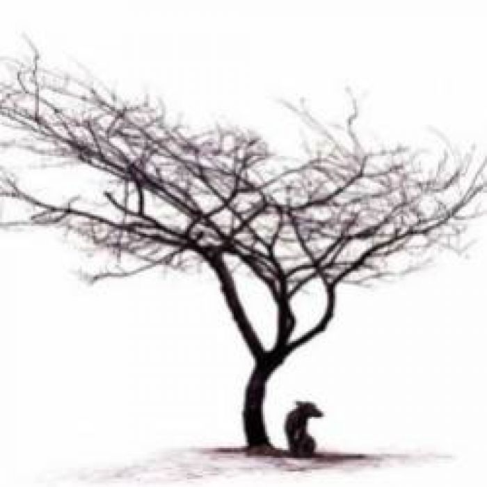 Reverse Reverie-Паранойя