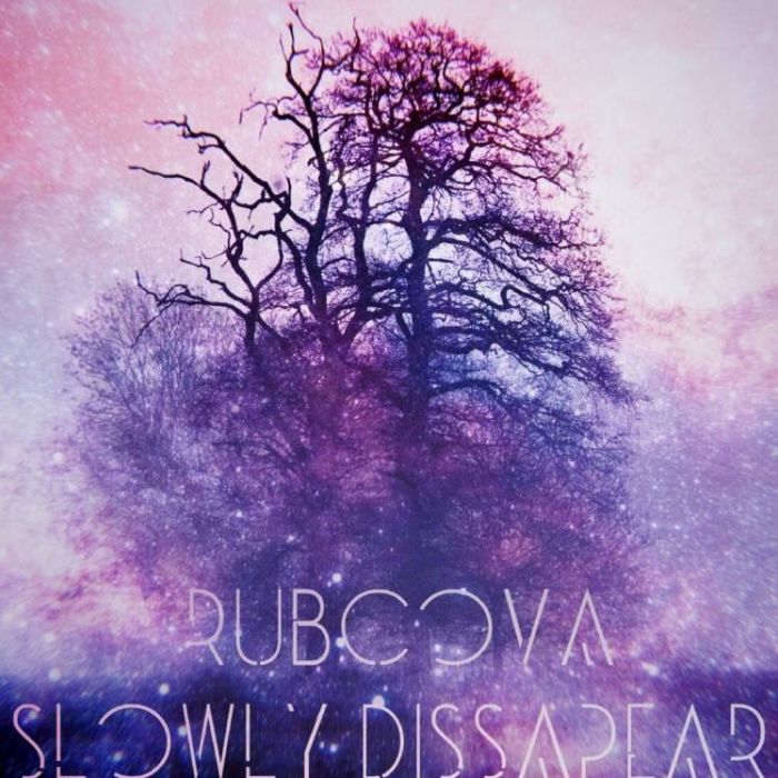 Rubcova-Slowly Disappear