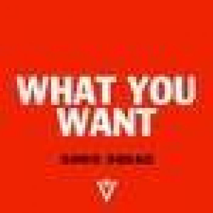 Sonic Squad - What You Want