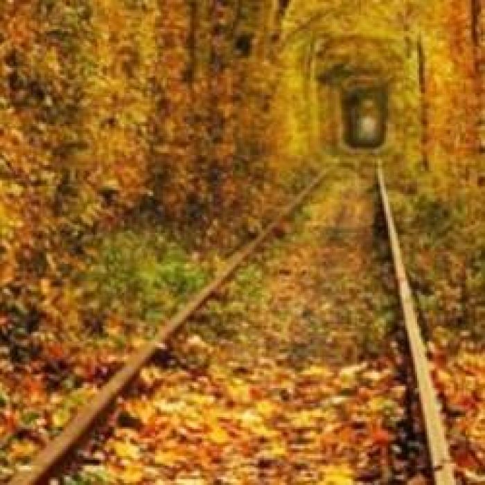 СВОД-Осенняя