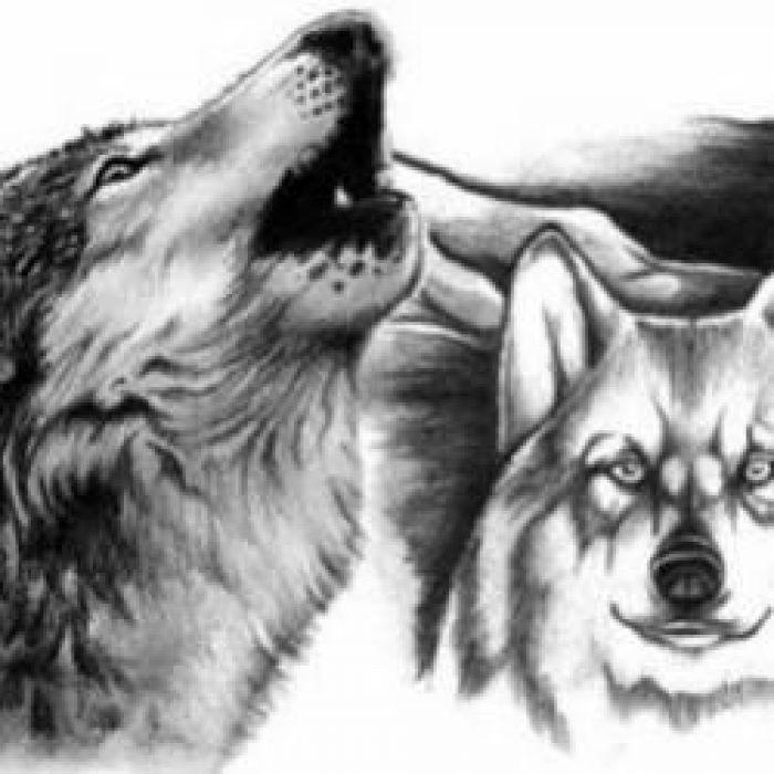 Серега Свободный Белый Волк и DJ Pronikatelгруппа Белые Волки-Волкодав