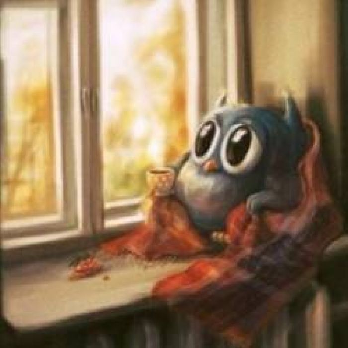 Сергей А Никитин &mdash; Девушки и старые романы