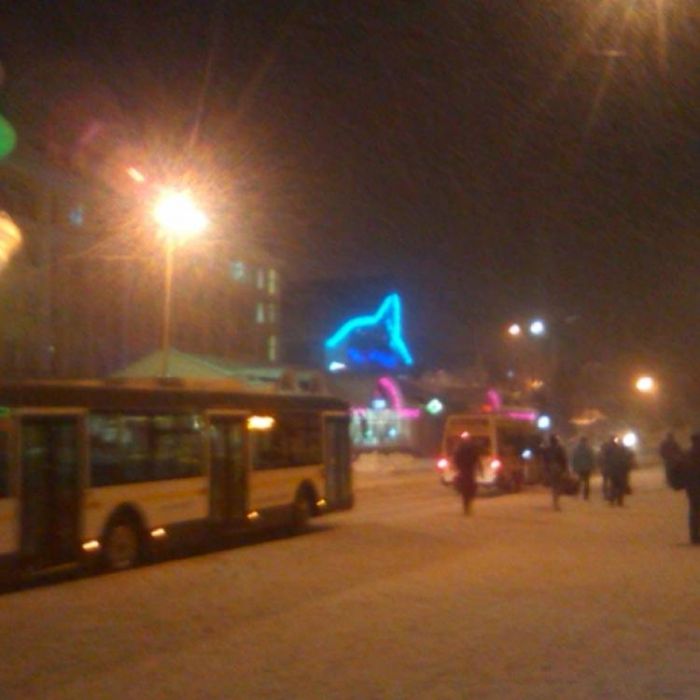 Сергей Мошков-Электрическая кошка