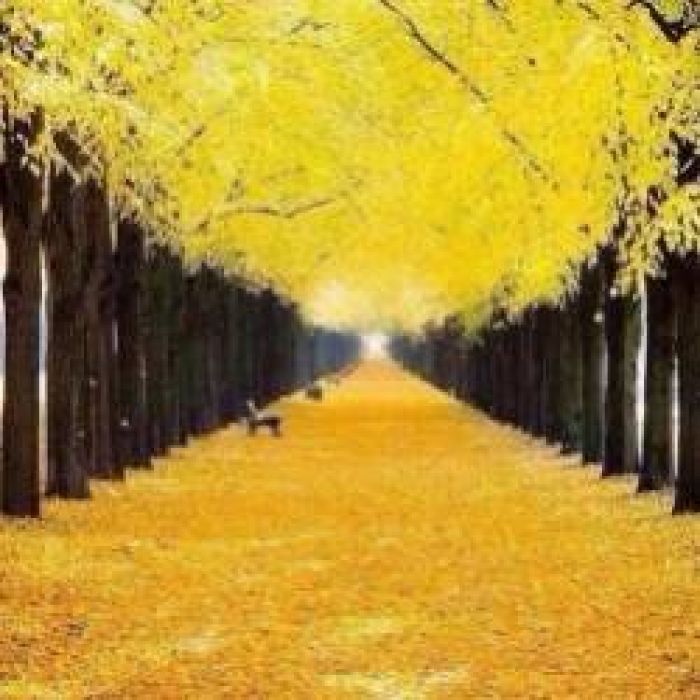 Сергей Мошков-Лимонный дождь