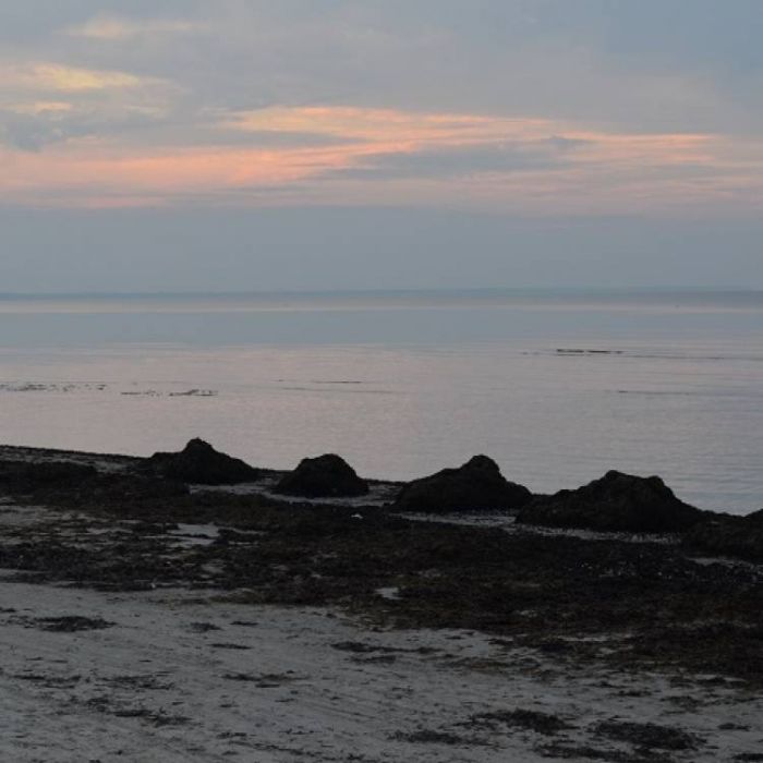 Сергей Мошков-Раковина моря