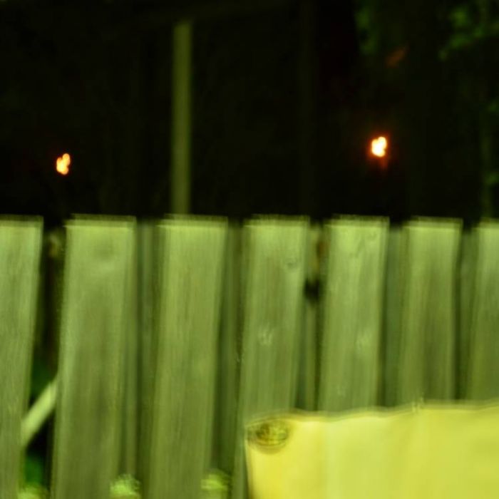 Сергей Мошков-Звёздный уголёк