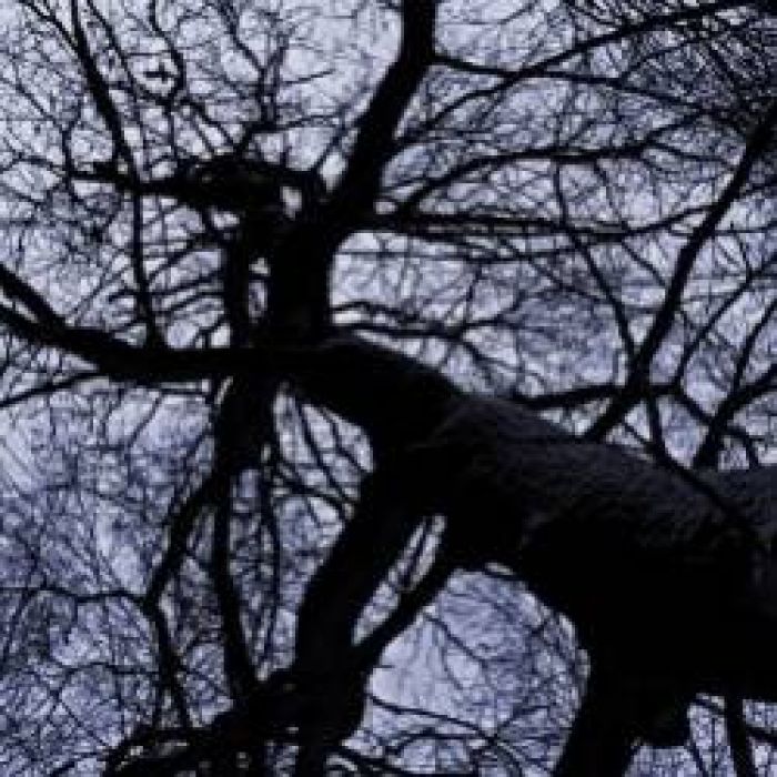 Шумы штормовых широт-Война