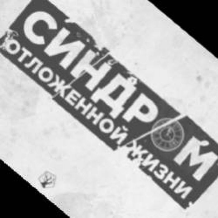 Синдром Отложенной Жизни-Шаг акустическая версия