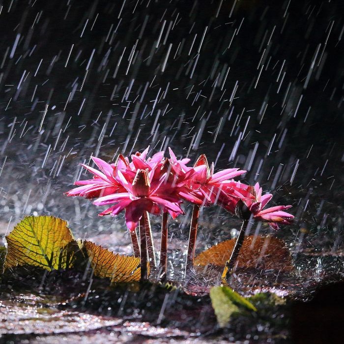 Синтетические Усы - Айсберг (BitAndByte Bootleg)