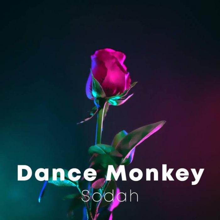 Sodah-Dance Monkey