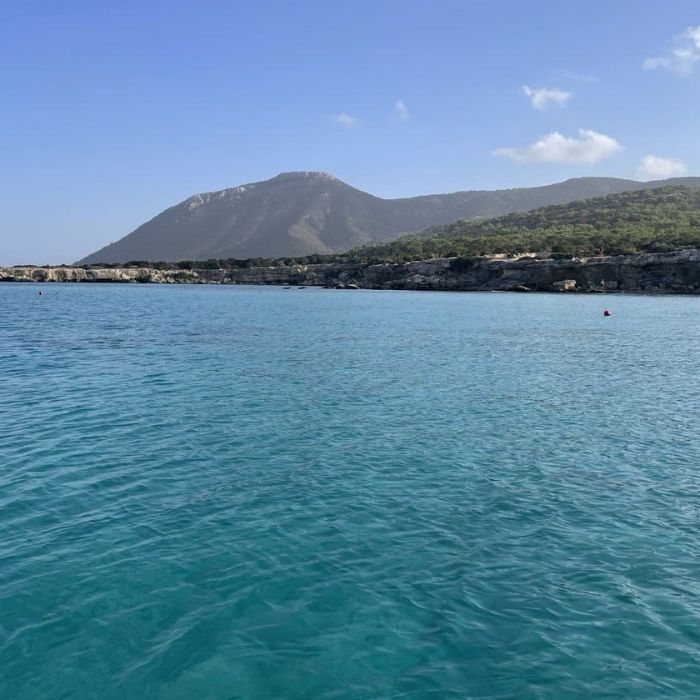 Сообщество Эгон Байков и друзья (СЭБИД)  - Летний сюр