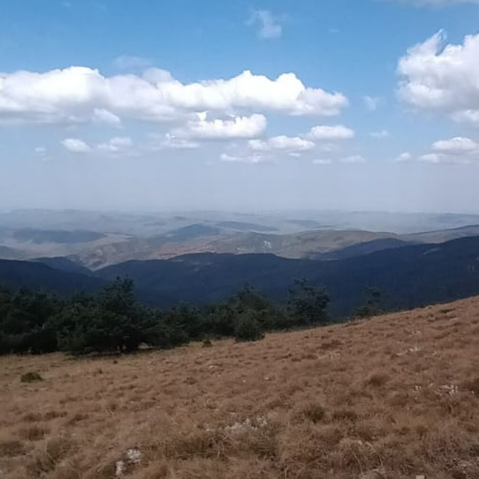 Сообщество Эгон Байков и друзья (СЭБИД) - Новогодние метаморфозы