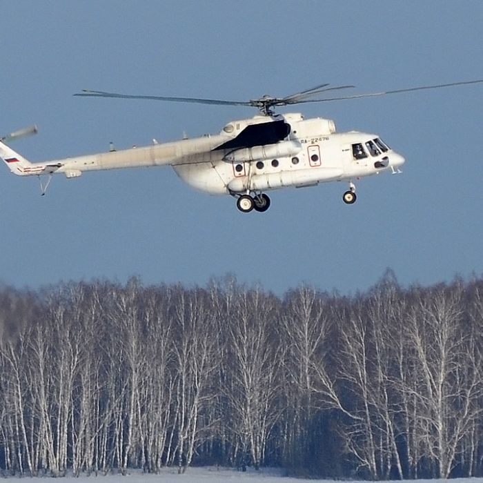 Сообщество Эгон Байков и друзья (СЭБИД) - Пихты, ёлки