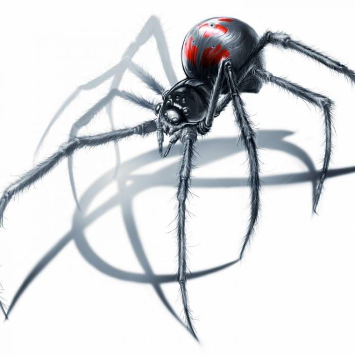 Spiderletter-Призма