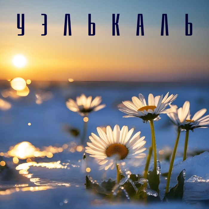 СтопАут - Уэлькаль