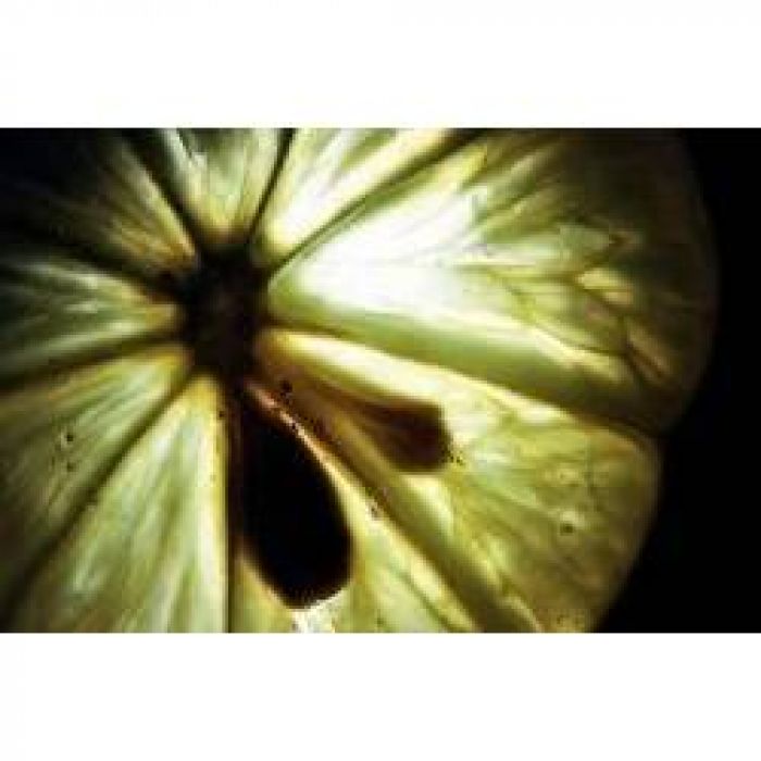 Synthetic Mind - Introvision