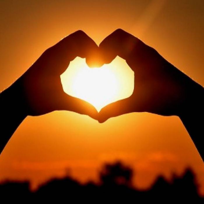 Synthetic Mind-Rise and shine