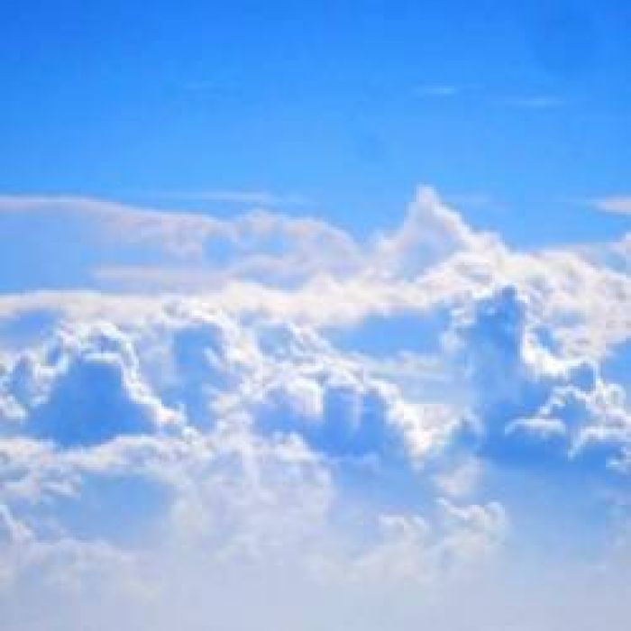 Synthetic Mind-everything changes