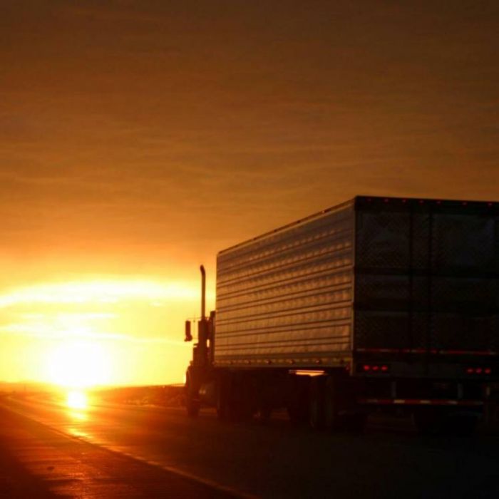 Taran Sklyroff Olenich-Бродяга дорог