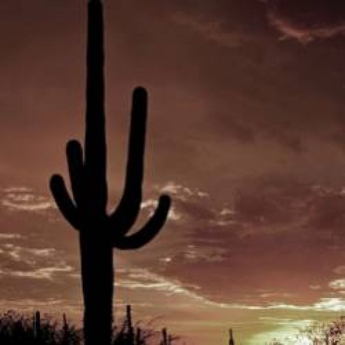 Tequilla Waits-Мой друг