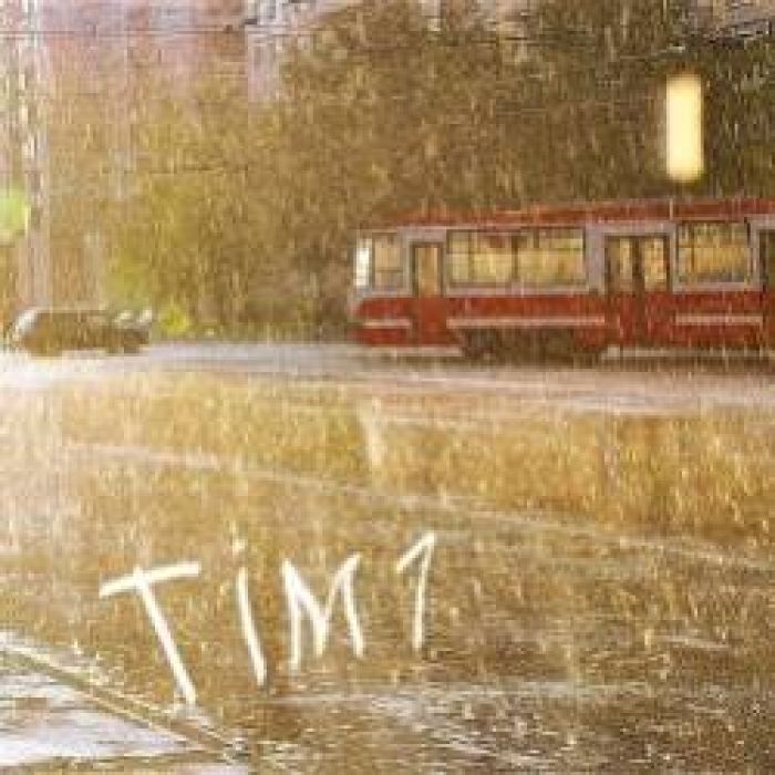 Tim1-Дай понять