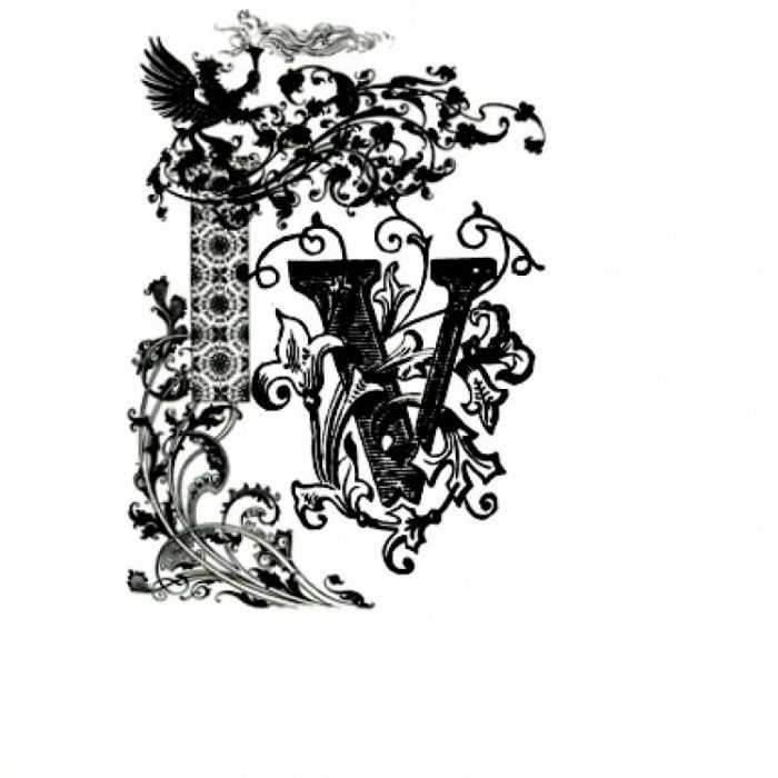 Vagenburg Of Arteries-Black Forest