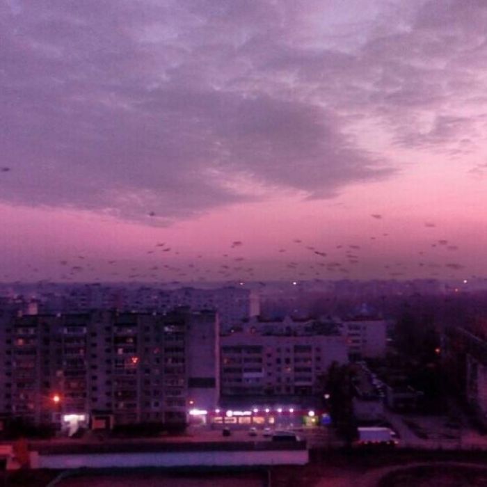 Валерия Свист-То ли